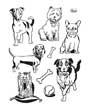 Clear stamp Viva honden